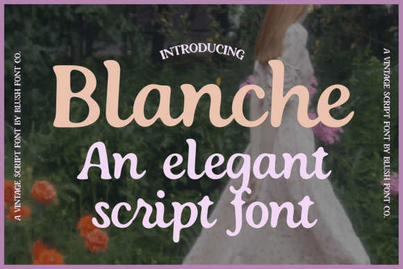 Blanche Script Font: Vintage Elegance for Modern Creatives