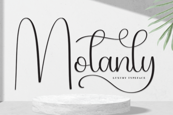 Motanly: Crafting Timeless Elegance for Modern Design